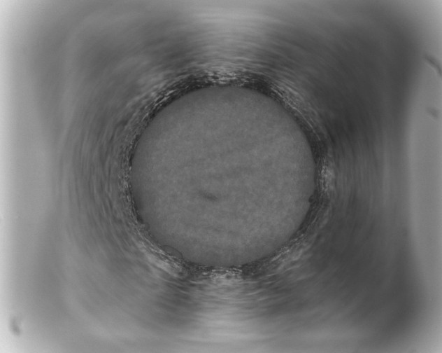 X0000099380865200805291126