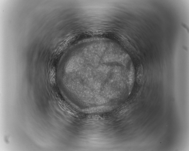 X0000099380866200805291126