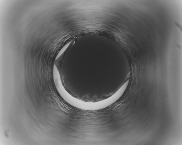 X0000099380868200805291126