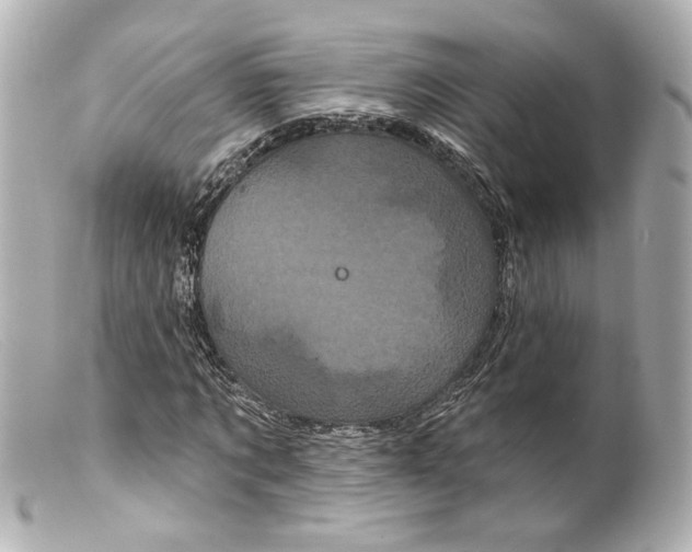 X0000099380869200805291126