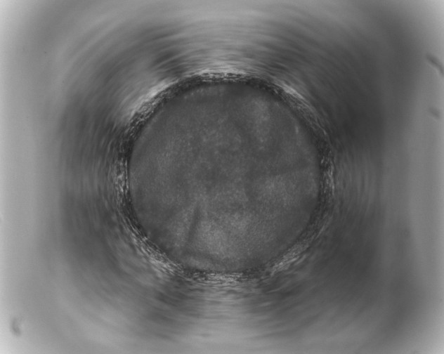 X0000099380870200805291126