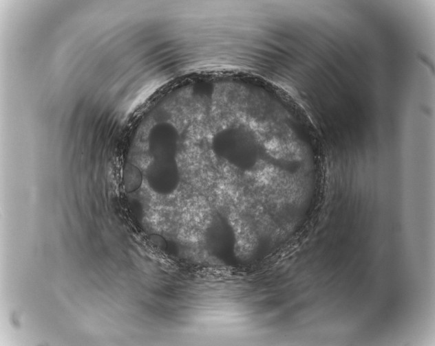 X0000099380871200805291126