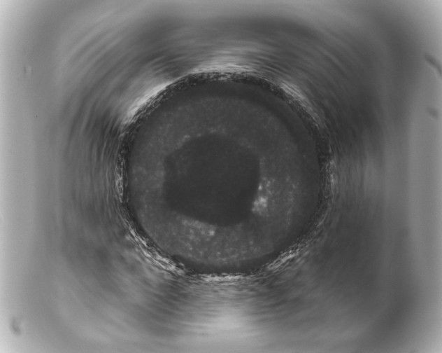 X0000099380872200805291126