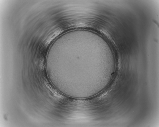 X0000099380873200805291126