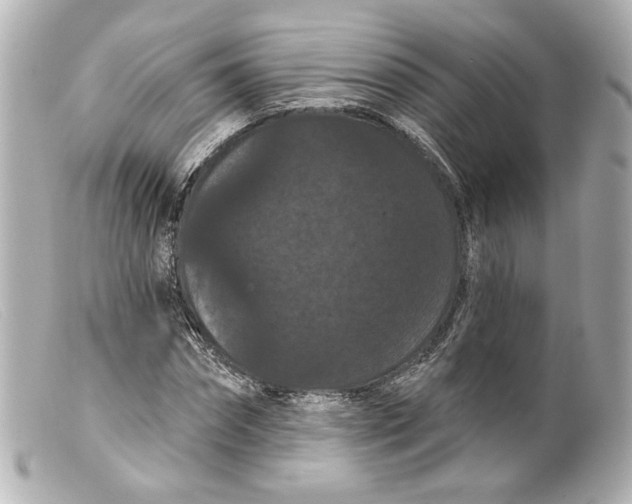 X0000099380874200805291126