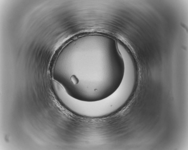 X0000099380876200805291126