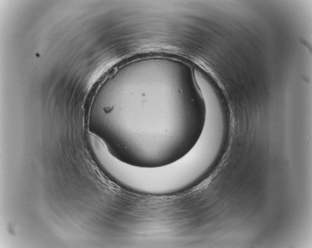 X0000099380877200805291126