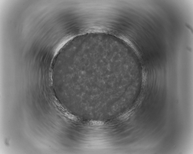 X0000099380878200805291126