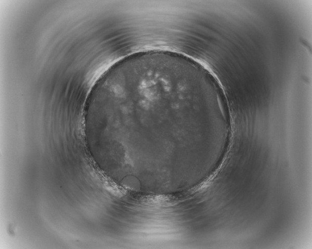 X0000099380879200805291126