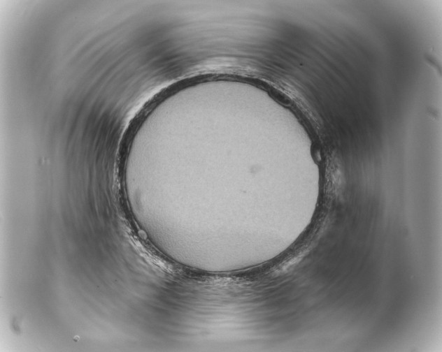 X0000099380880200805291126