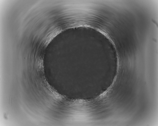 X0000099380881200805291126