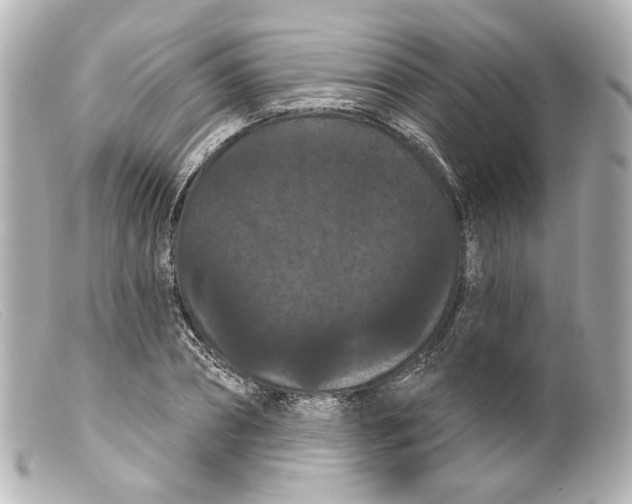 X0000099380882200805291126