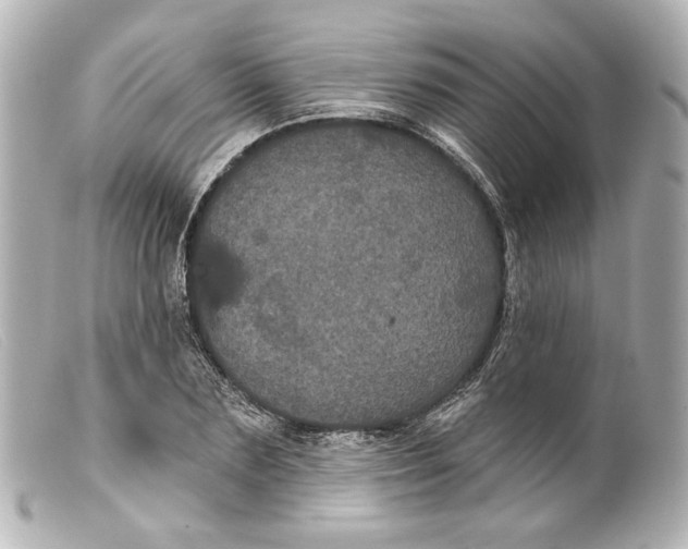 X0000099380883200805291126