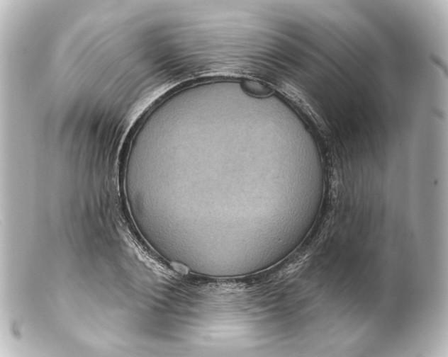 X0000099380884200805291126