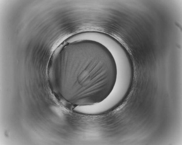 X0000099380885200805291126