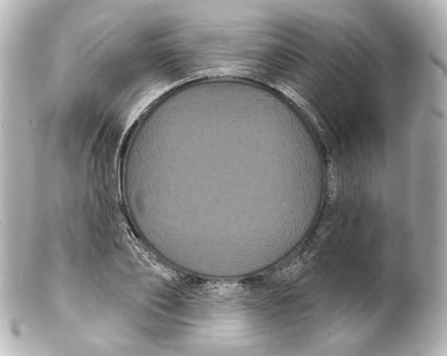 X0000099380886200805291126