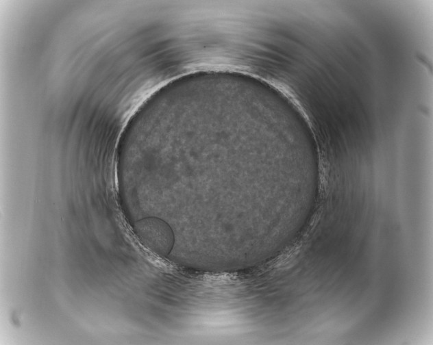 X0000099380887200805291126