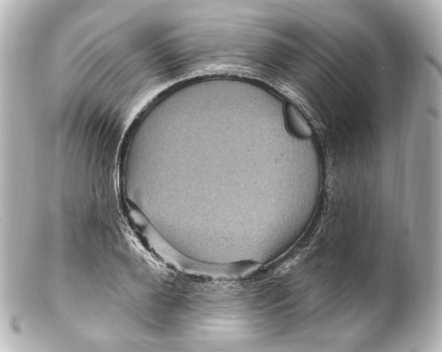 X0000099380888200805291126