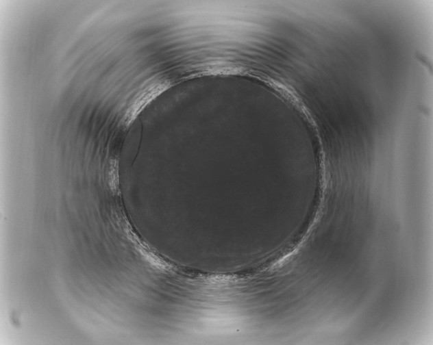 X0000099380889200805291126