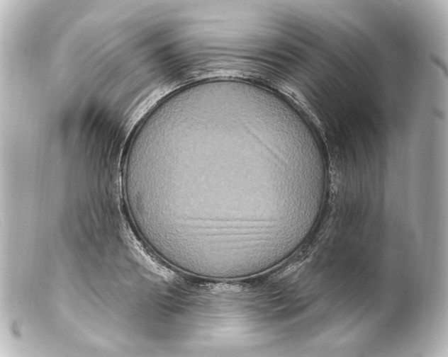 X0000099380890200805291126