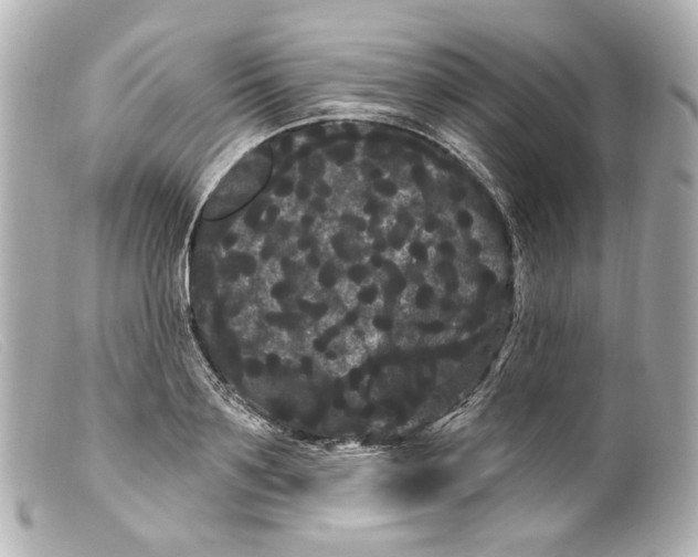 X0000099380891200805291126