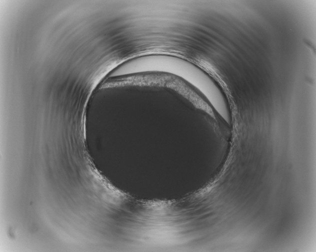 X0000099380892200805291126