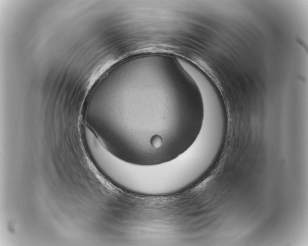 X0000099380893200805291126