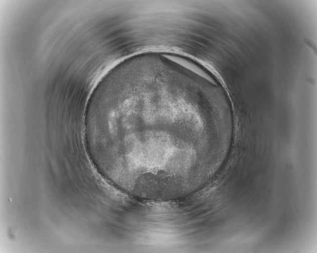 X0000099380895200805291126