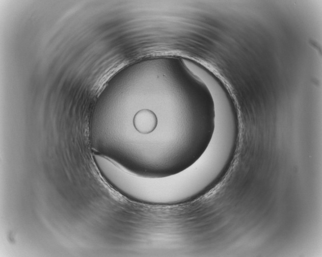 X0000099380897200805291126