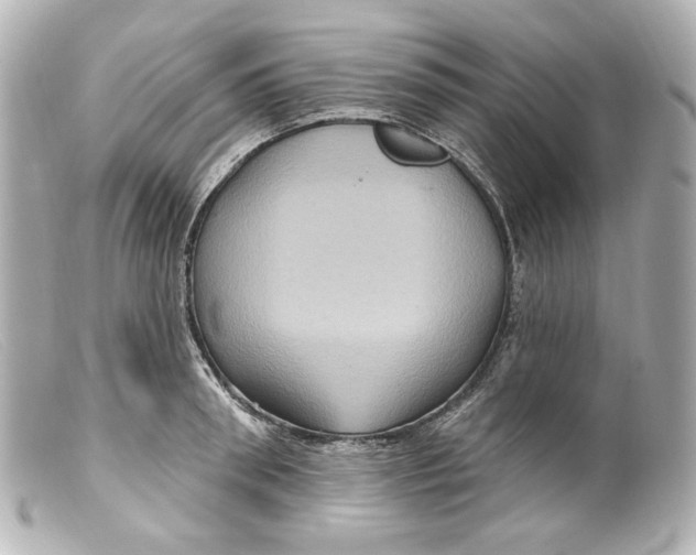 X0000099380898200805291126