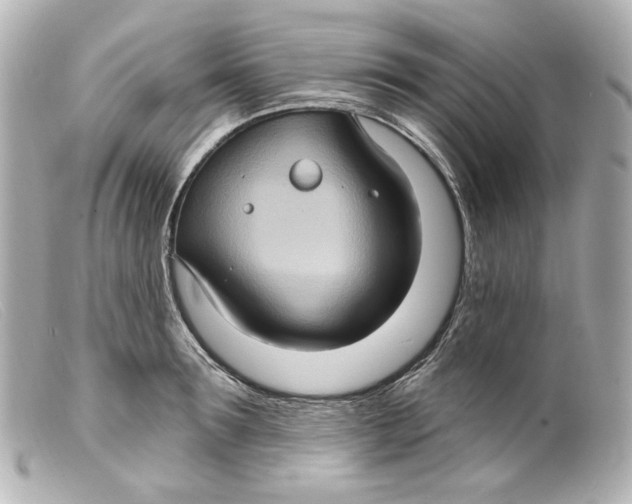 X0000099380899200805291126