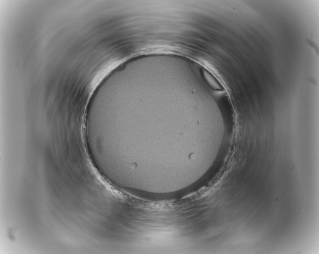 X0000099380901200805291126