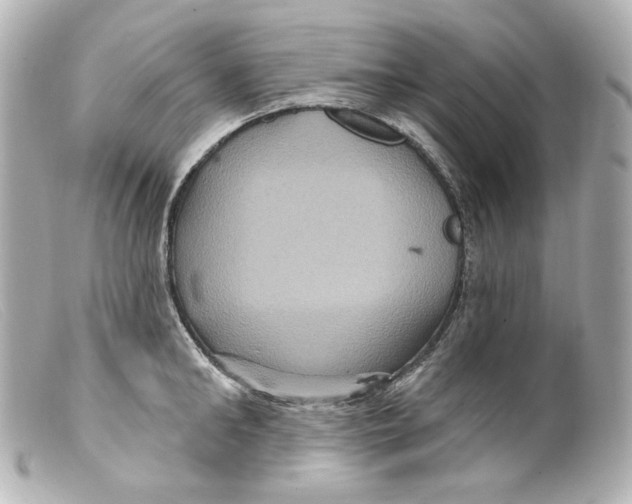 X0000099380902200805291126