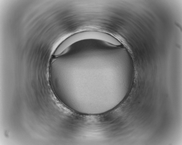 X0000099380904200805291126