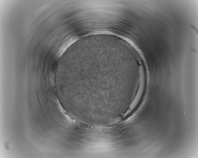 X0000099380905200805291126