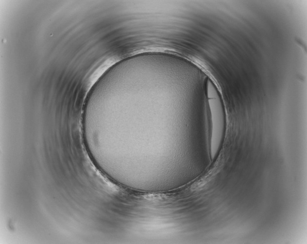 X0000099380906200805291126