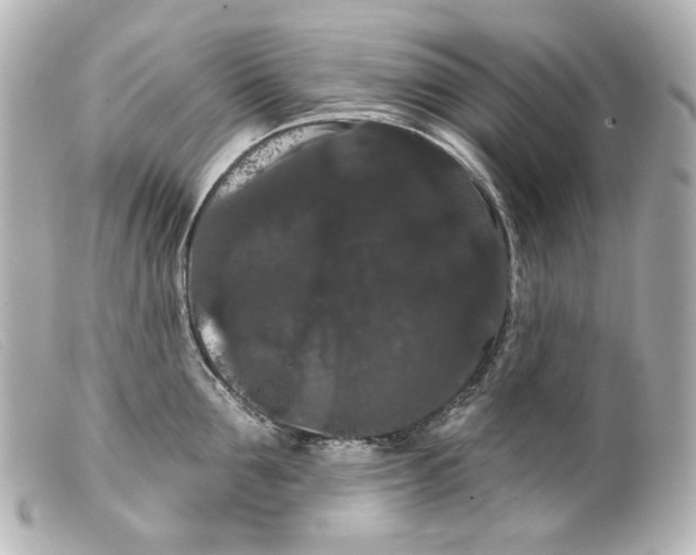 X0000099380907200805291126