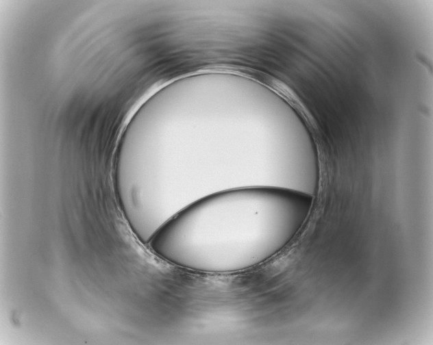 X0000099380908200805291126