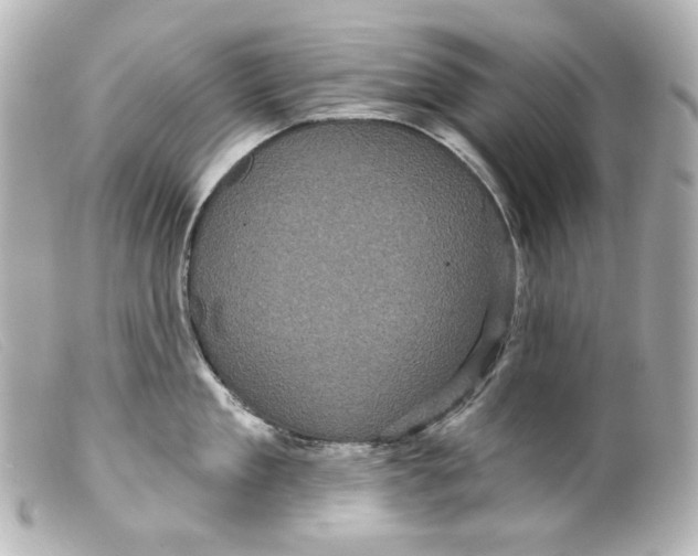 X0000099380909200805291126