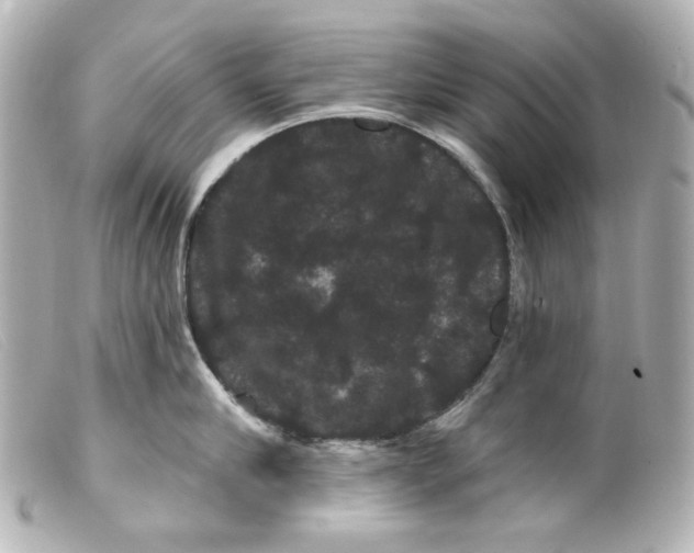 X0000099380910200805291126