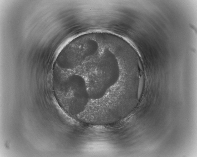 X0000099380911200805291126