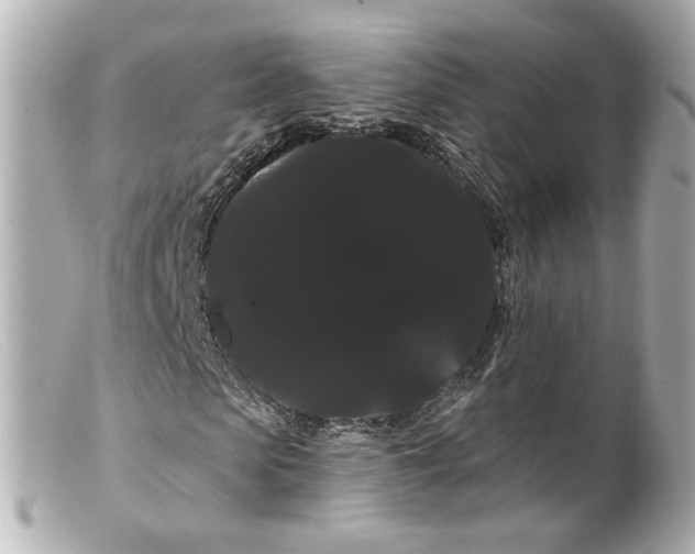 X0000099380913200805291125