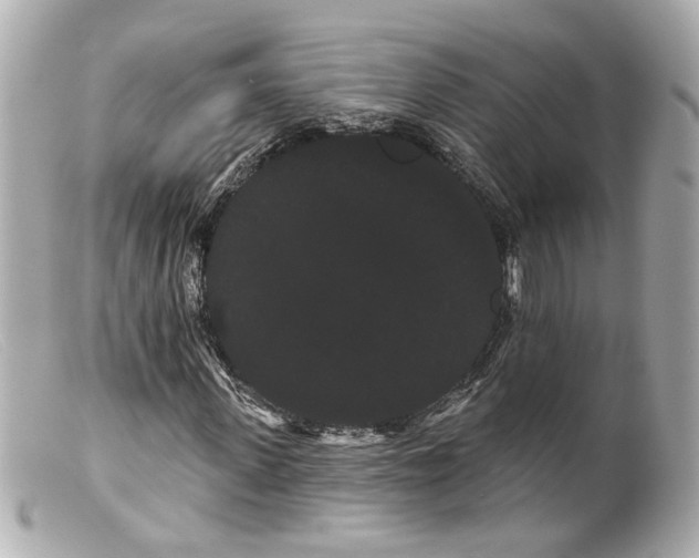 X0000099380915200805291125