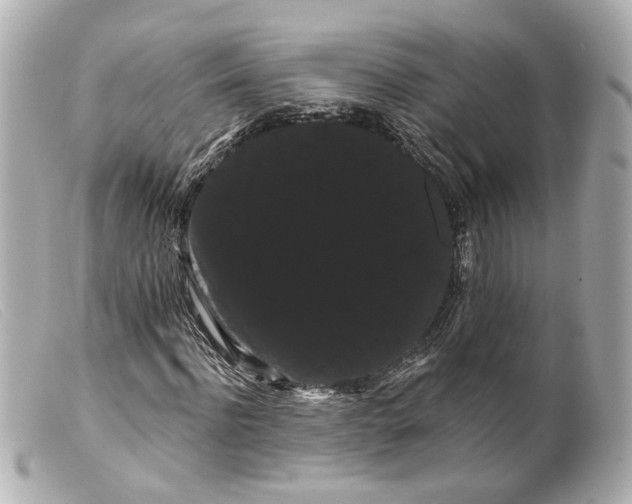 X0000099380916200805291125