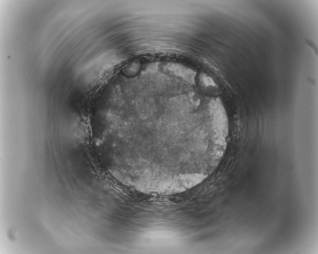 X0000099380918200805291125