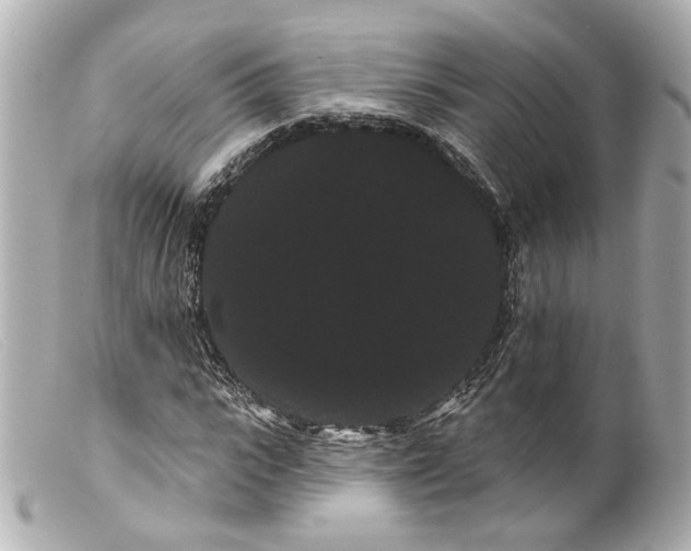 X0000099380919200805291125