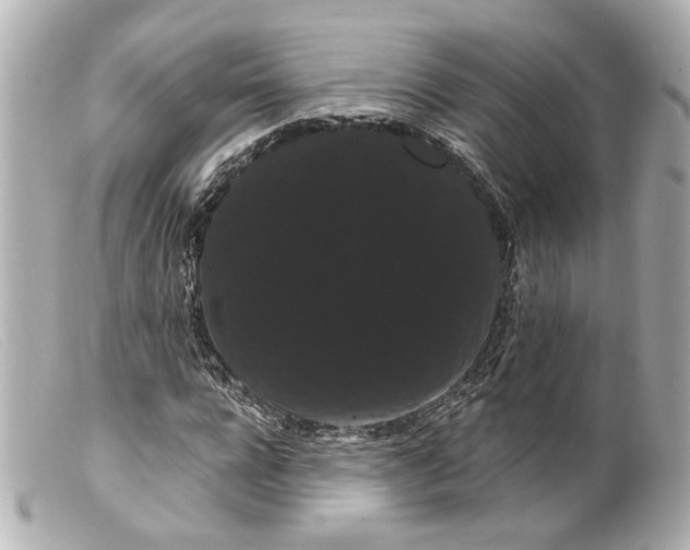 X0000099380920200805291125