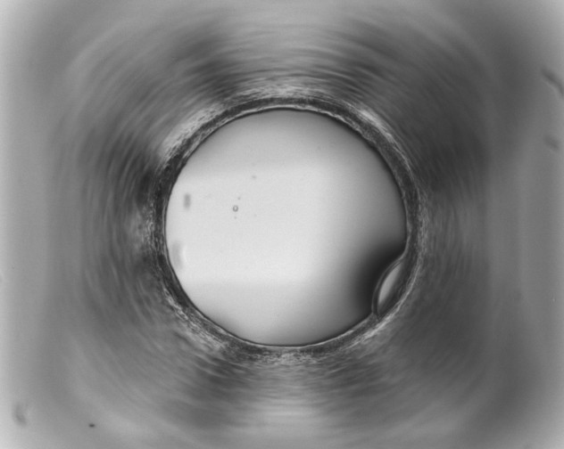 X0000099380922200805291125