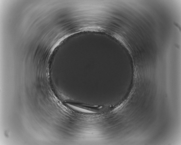 X0000099380923200805291125