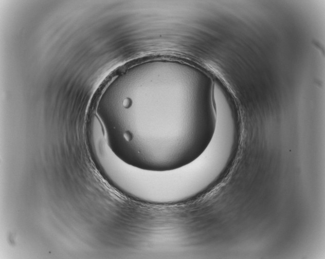 X0000099380924200805291125